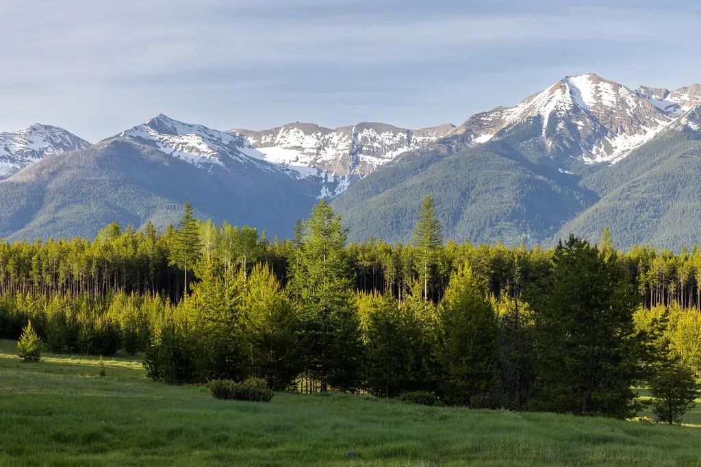 699 Glacier-elk Creek Road Condon MT 59826