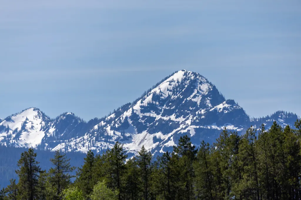 699 Glacier-elk Creek Road Condon MT 59826
