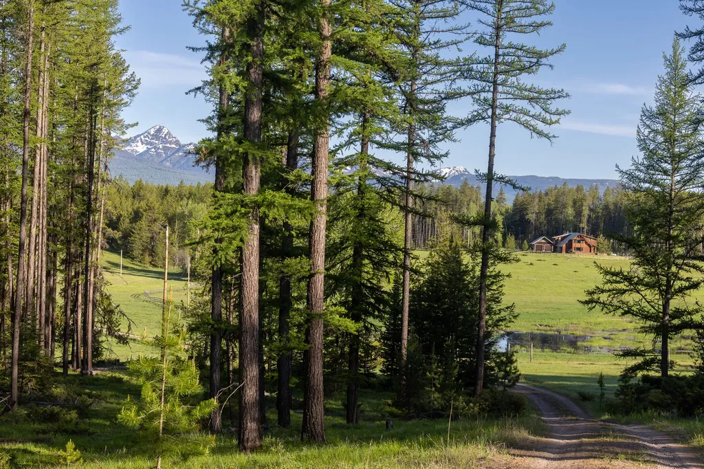 699 Glacier-elk Creek Road Condon MT 59826