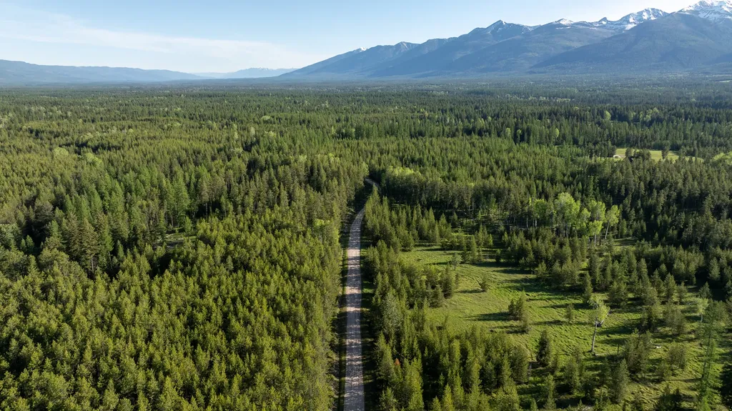 699 Glacier-elk Creek Road Condon MT 59826