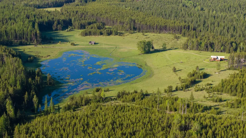 699 Glacier-elk Creek Road Condon MT 59826