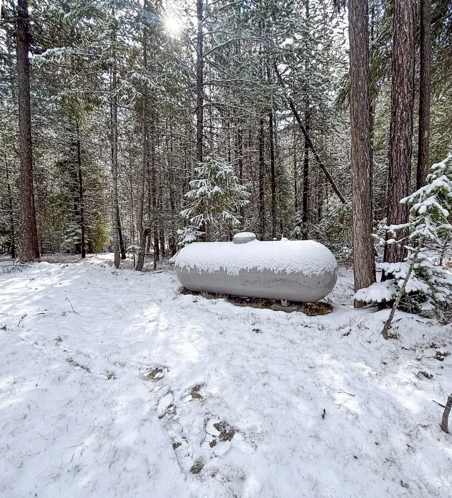 28 Woodside Lane Thompson Falls MT 59873