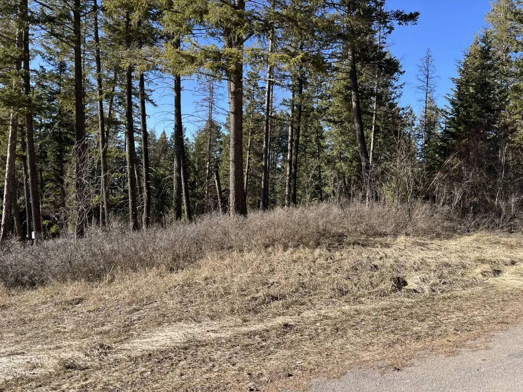 137 Wood Ridge Drive Columbia Falls MT 59912