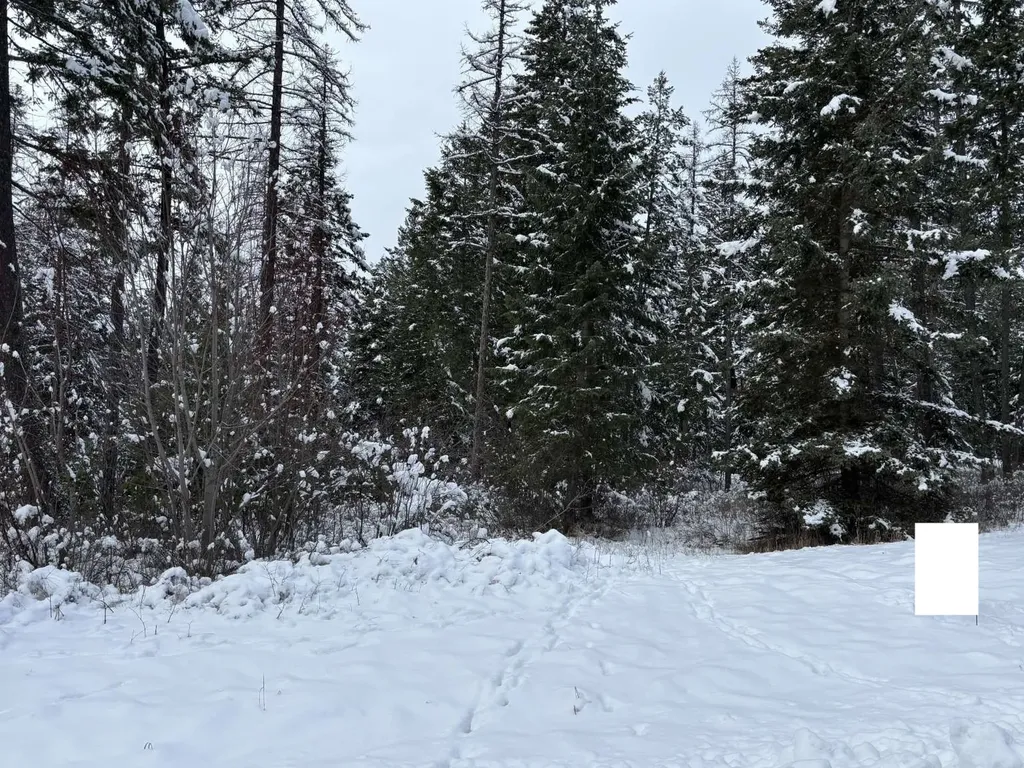 137 Wood Ridge Drive Columbia Falls MT 59912
