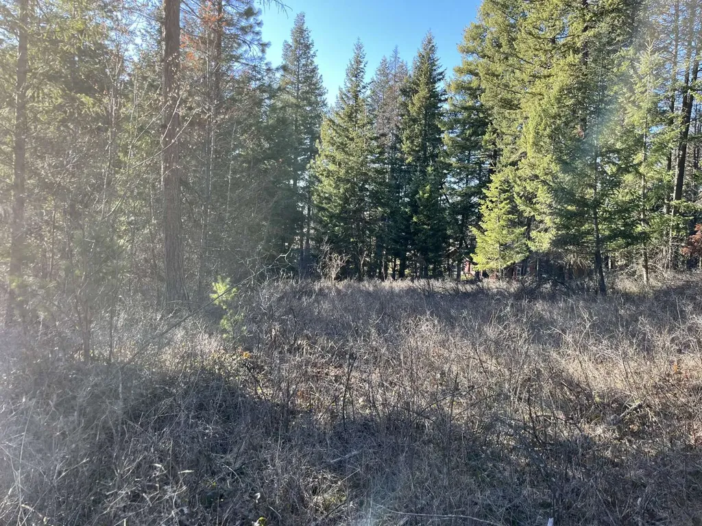 137 Wood Ridge Drive Columbia Falls MT 59912