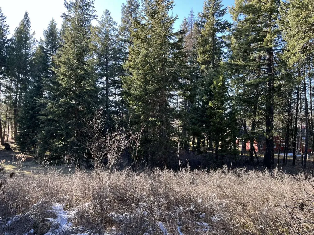 137 Wood Ridge Drive Columbia Falls MT 59912