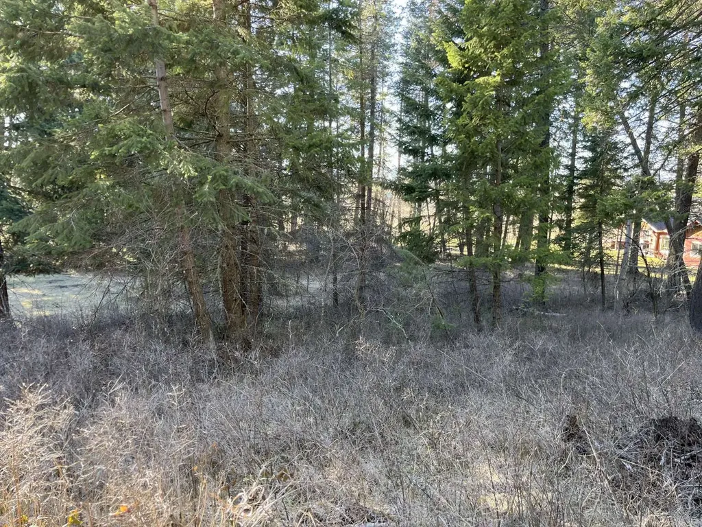 137 Wood Ridge Drive Columbia Falls MT 59912