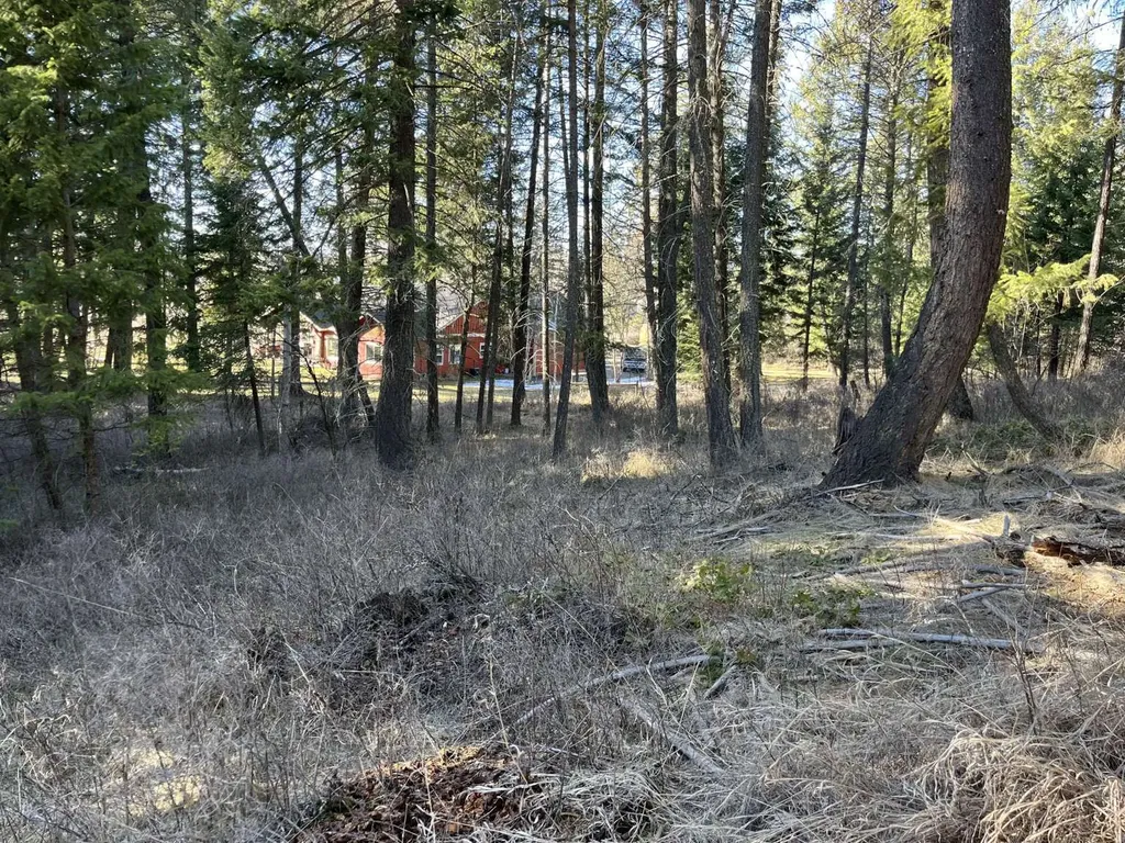 137 Wood Ridge Drive Columbia Falls MT 59912