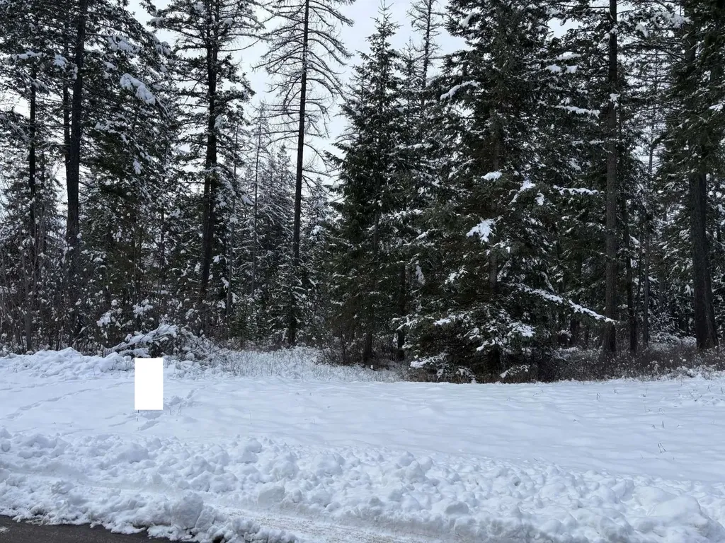 137 Wood Ridge Drive Columbia Falls MT 59912