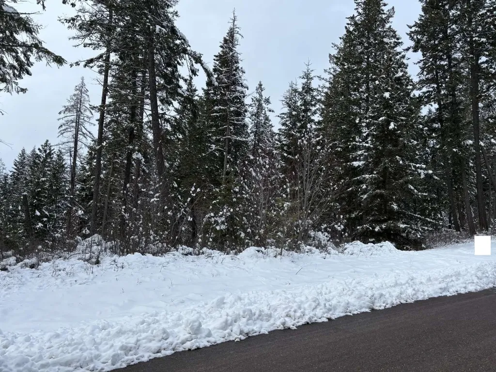 137 Wood Ridge Drive Columbia Falls MT 59912