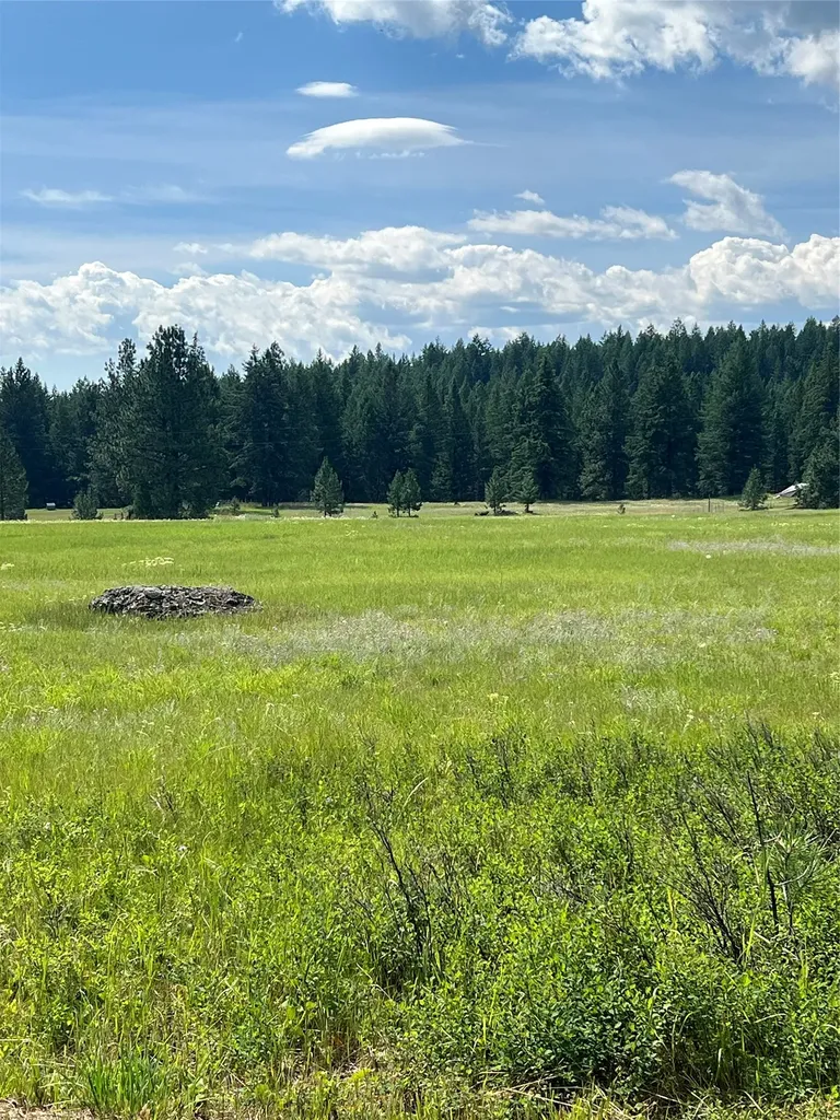 1186 Lost Creek Drive Kalispell MT 59901
