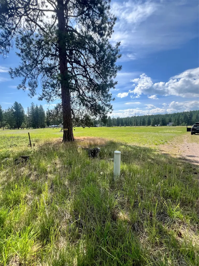 1186 Lost Creek Drive Kalispell MT 59901