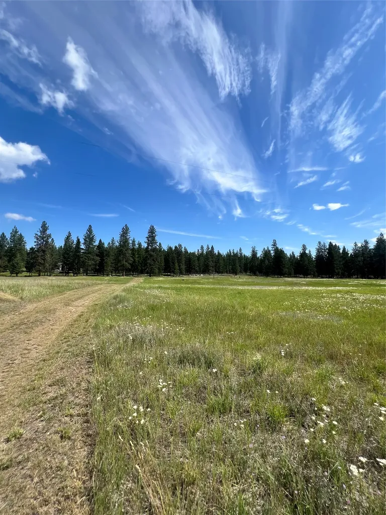 1186 Lost Creek Drive Kalispell MT 59901
