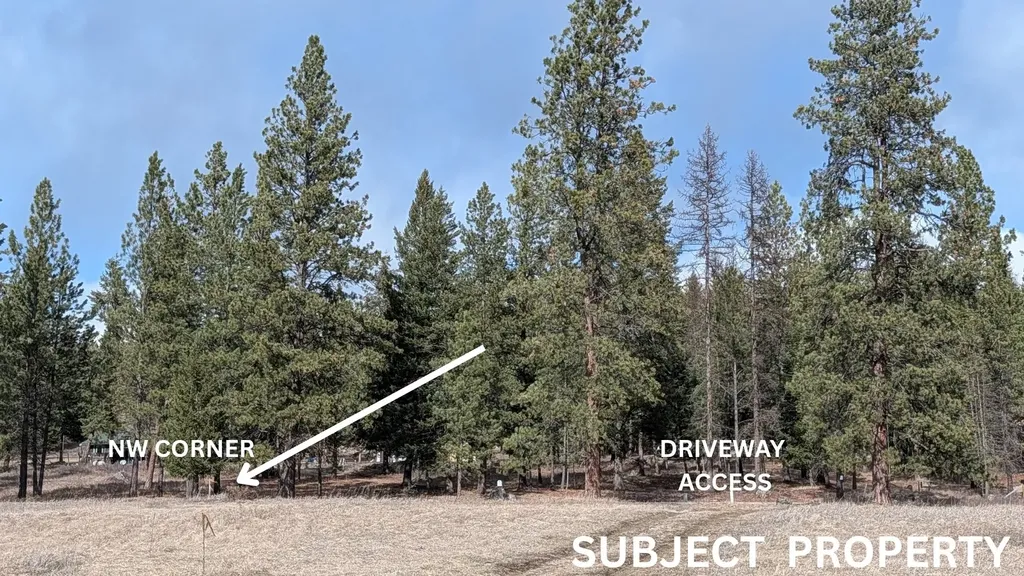 1186 Lost Creek Drive Kalispell MT 59901