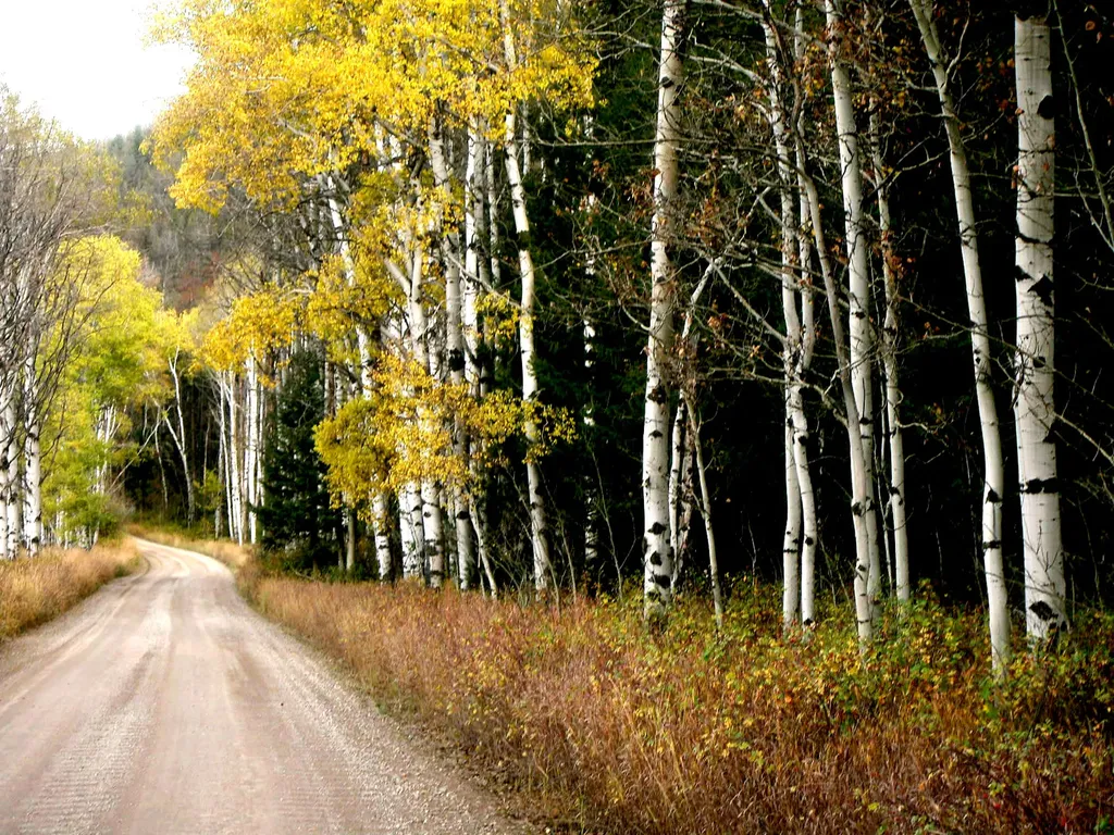 716 Rock Creek Road Clinton MT 59825