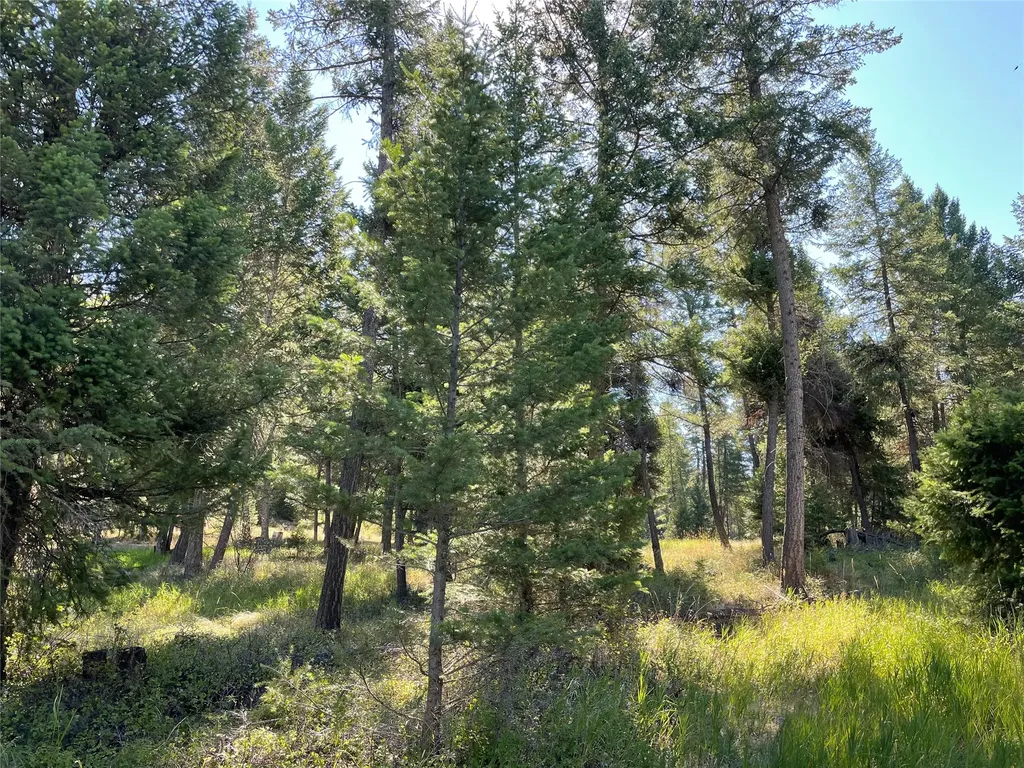 182 Walking Coyote Drive Kalispell MT 59901