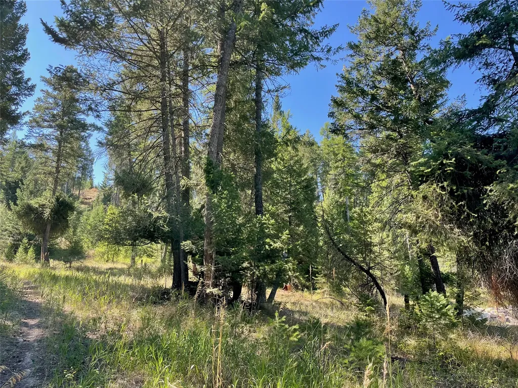 182 Walking Coyote Drive Kalispell MT 59901