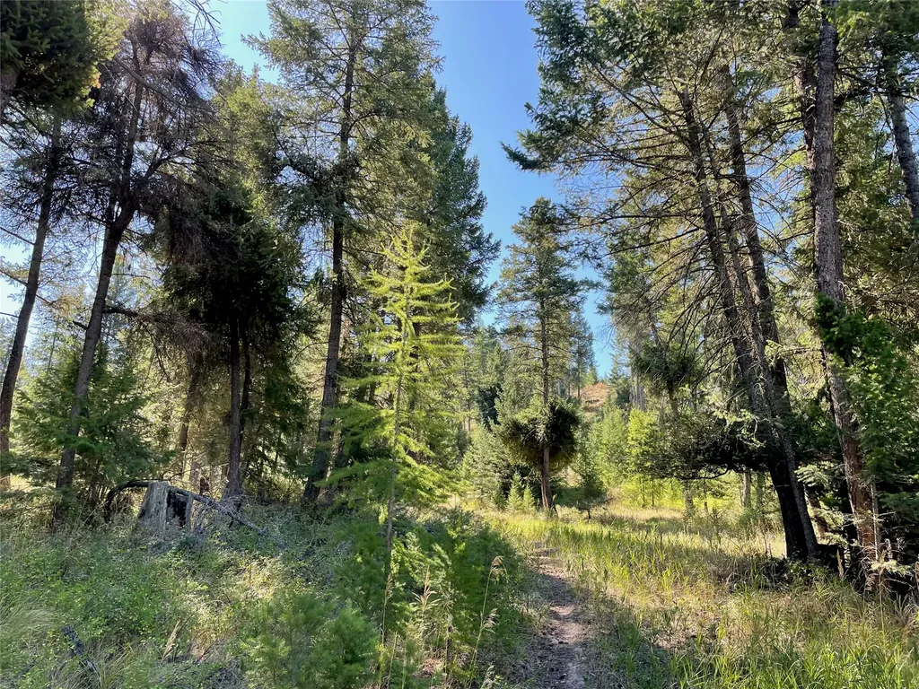 182 Walking Coyote Drive Kalispell MT 59901