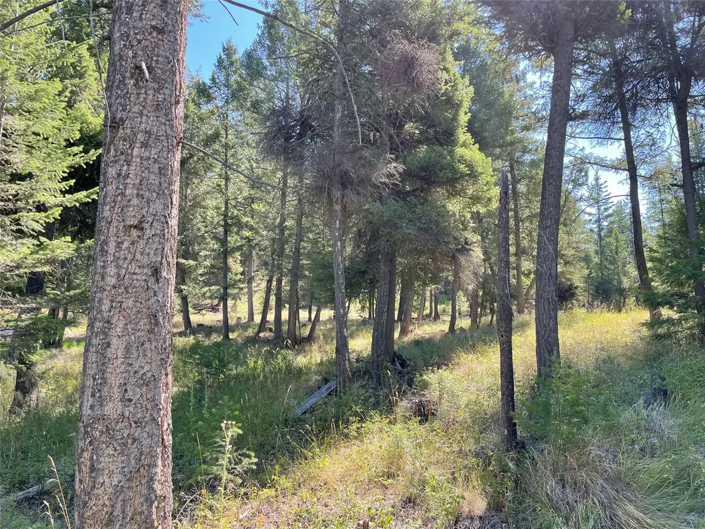 182 Walking Coyote Drive Kalispell MT 59901