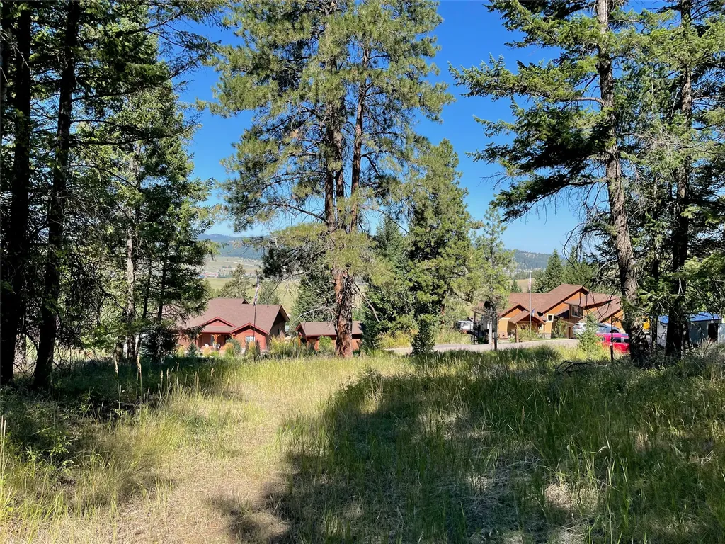 182 Walking Coyote Drive Kalispell MT 59901