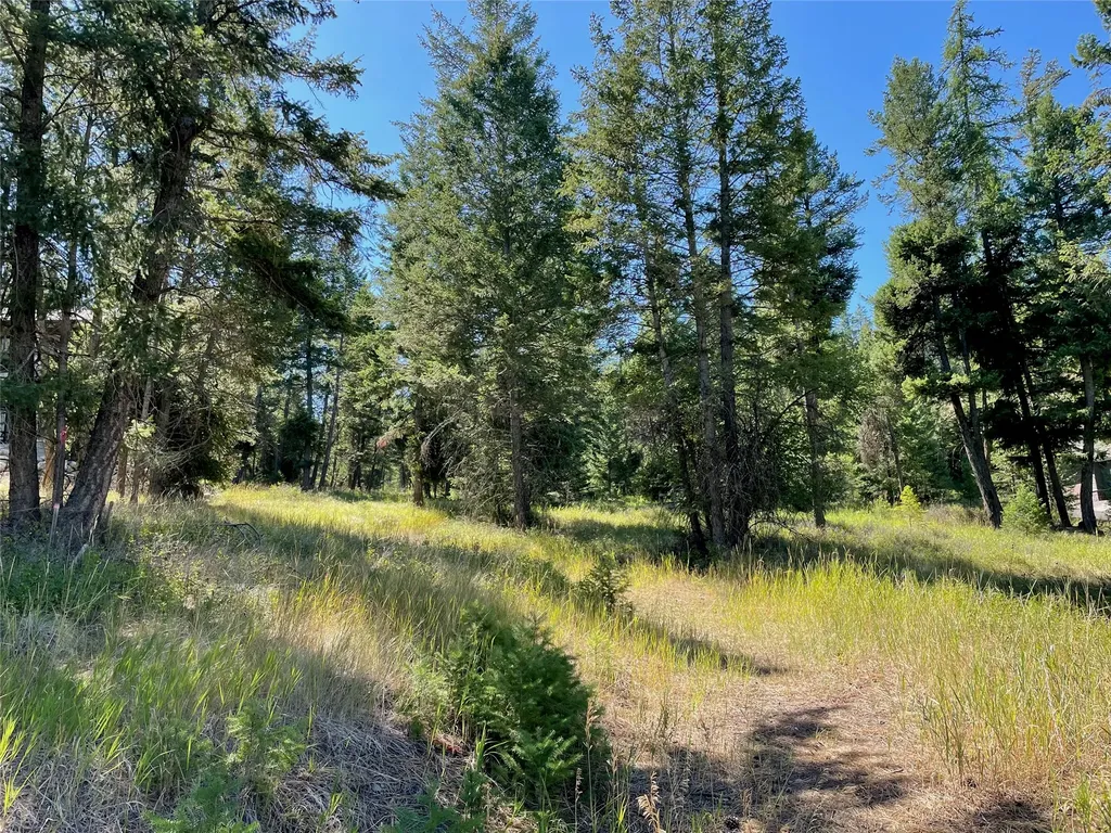 182 Walking Coyote Drive Kalispell MT 59901