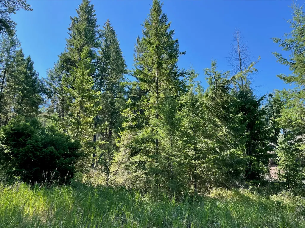 182 Walking Coyote Drive Kalispell MT 59901
