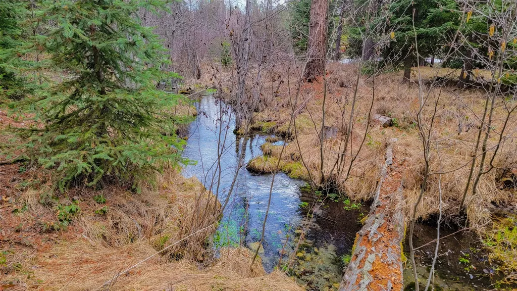 261 Champion Haul Road S Libby MT 59923