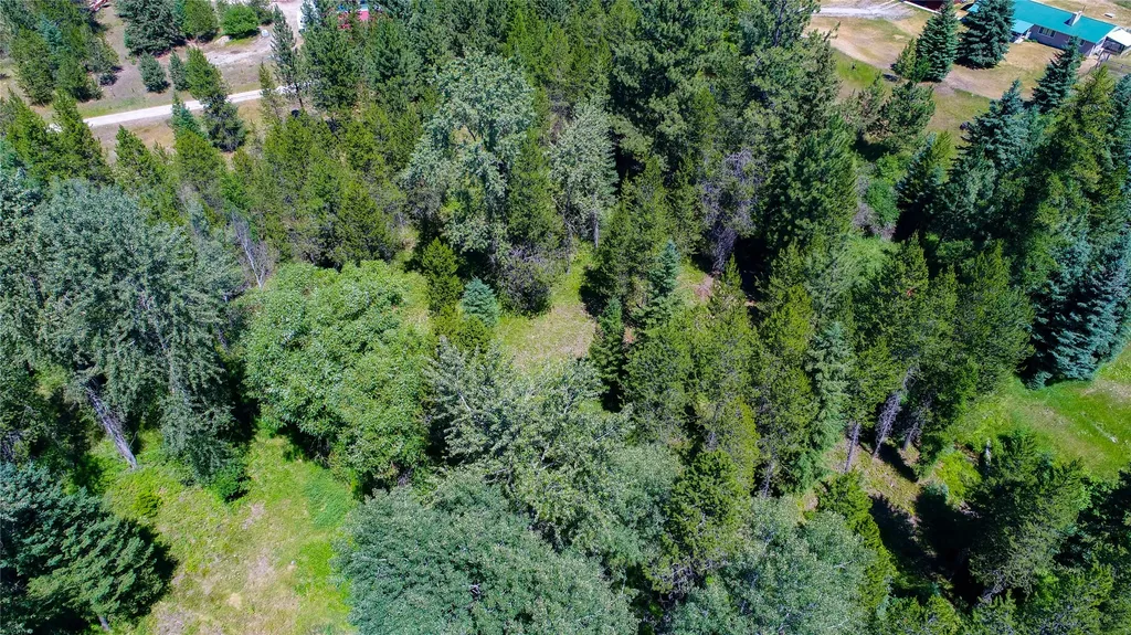 261 Champion Haul Road S Libby MT 59923
