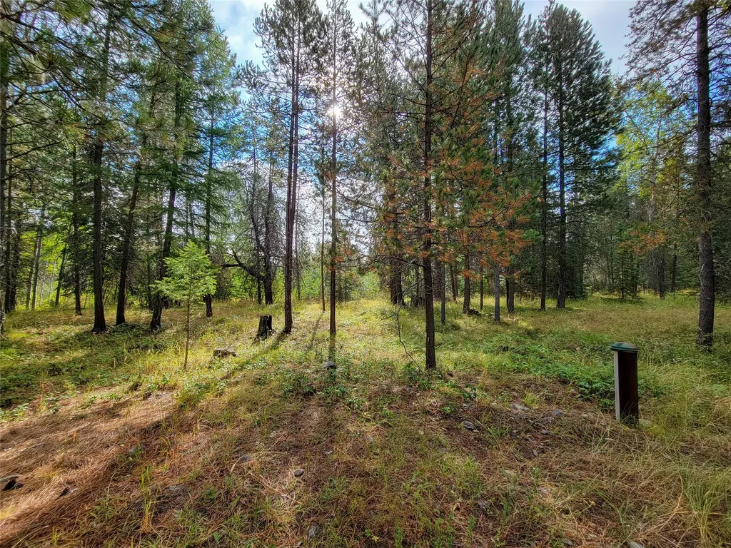 261 Champion Haul Road S Libby MT 59923