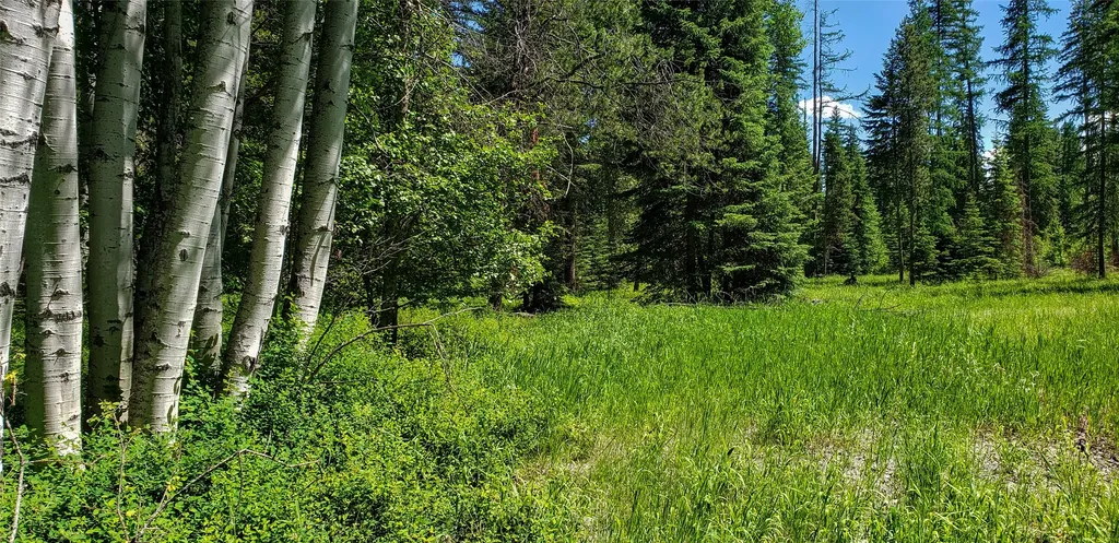 261 Champion Haul Road S Libby MT 59923