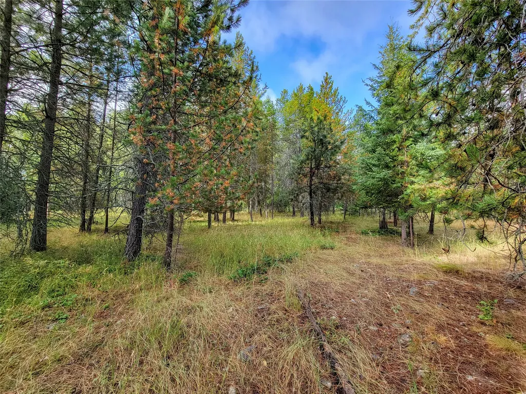 261 Champion Haul Road S Libby MT 59923