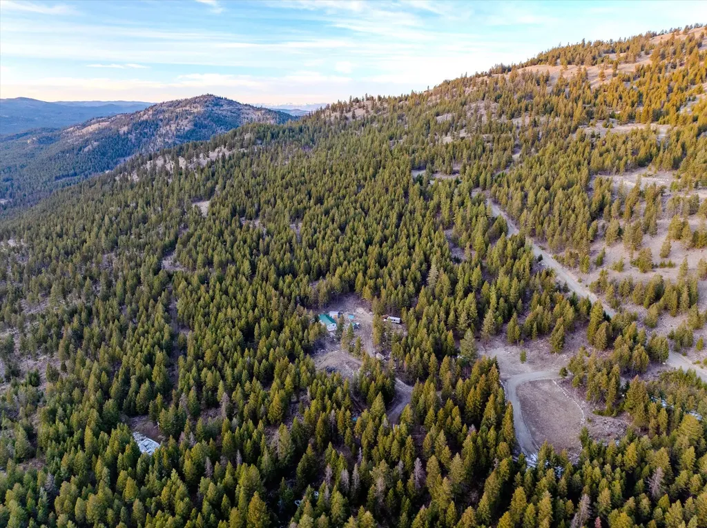 260 Wild Horse Trail Kila MT 59920
