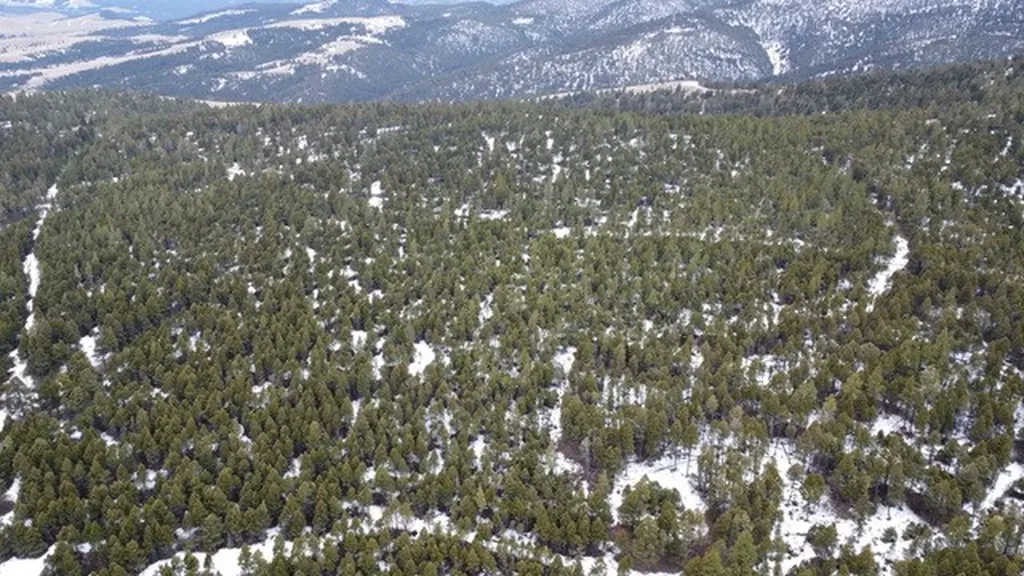 Tbd Turk Road Helena MT 59602
