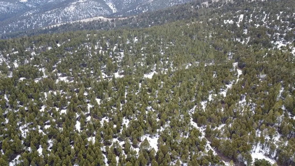 Tbd Turk Road Helena MT 59602