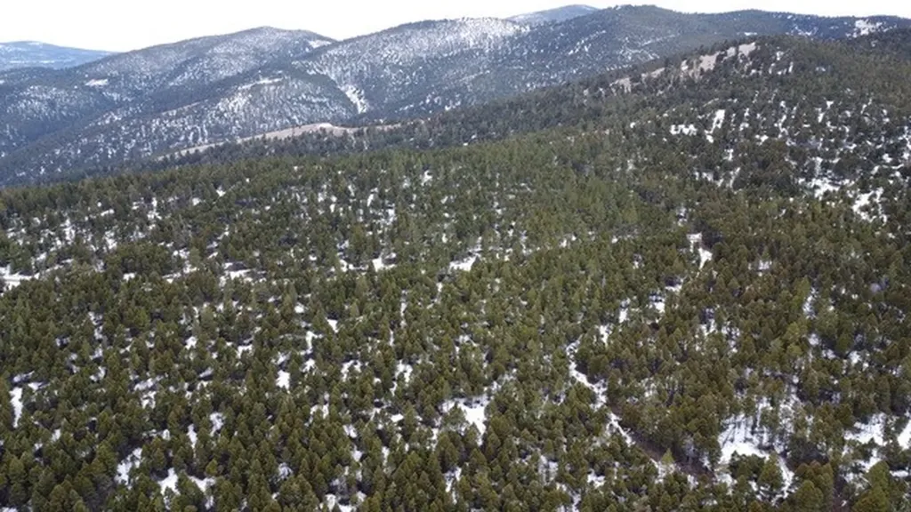 Tbd Turk Road Helena MT 59602