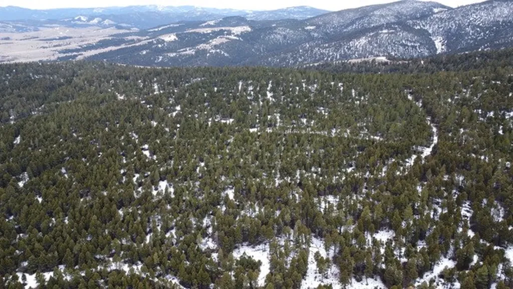 Tbd Turk Road Helena MT 59602