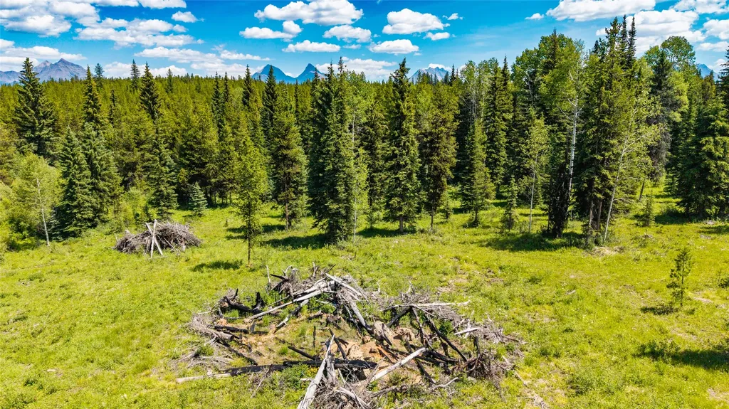16445 North Fork Road Polebridge MT 59928