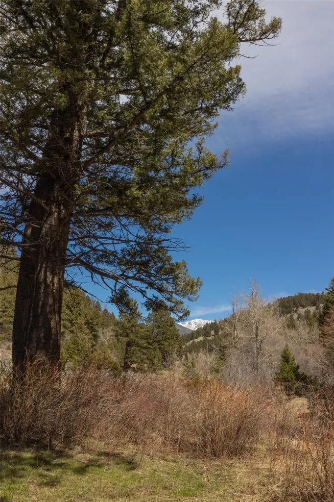 Tbd Elkhorn Road Boulder MT 59632