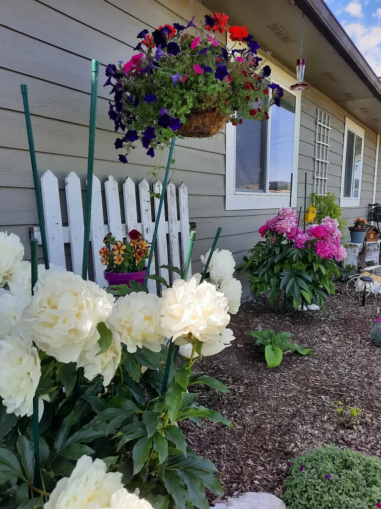 539 Hun Lane Kalispell MT 59901