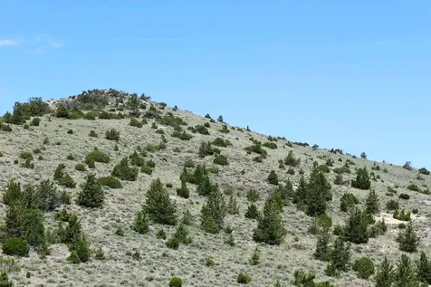 TBD Silver Light Lode & Champion Lode Radersburg MT 59641