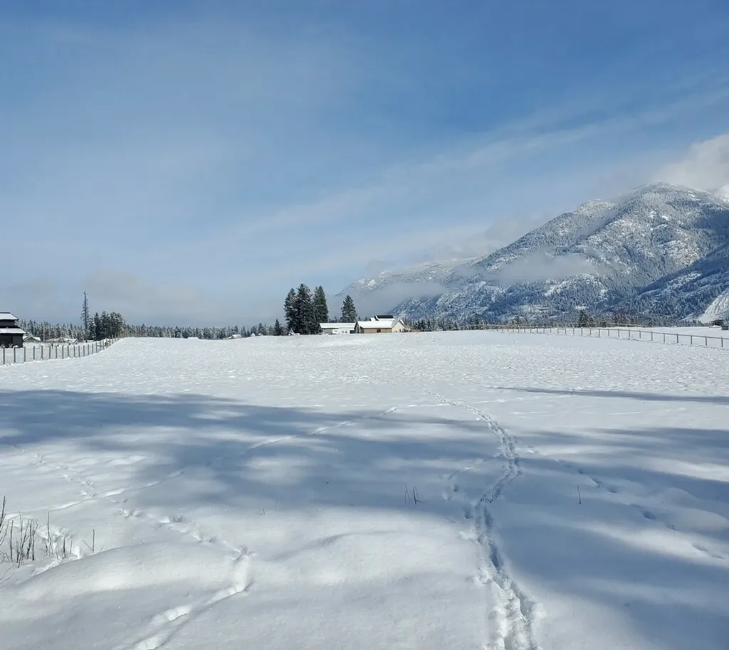 521 Yeoman Hall Road Kalispell MT 59901