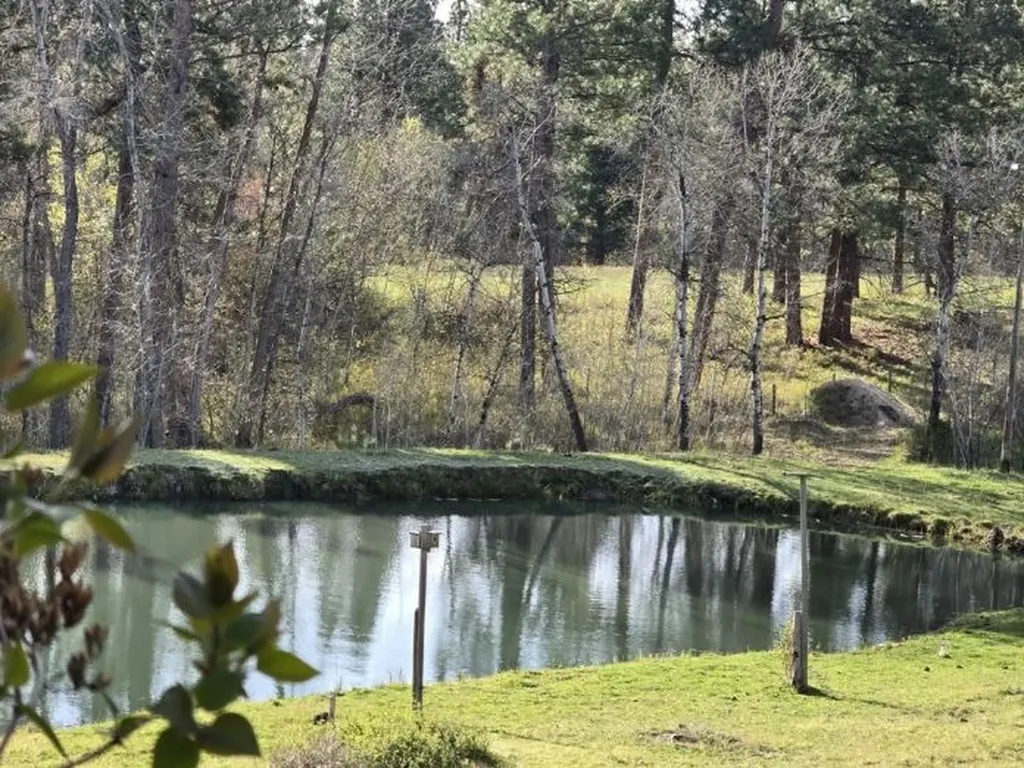 443 N Gold Creek Loop Hamilton MT 59840