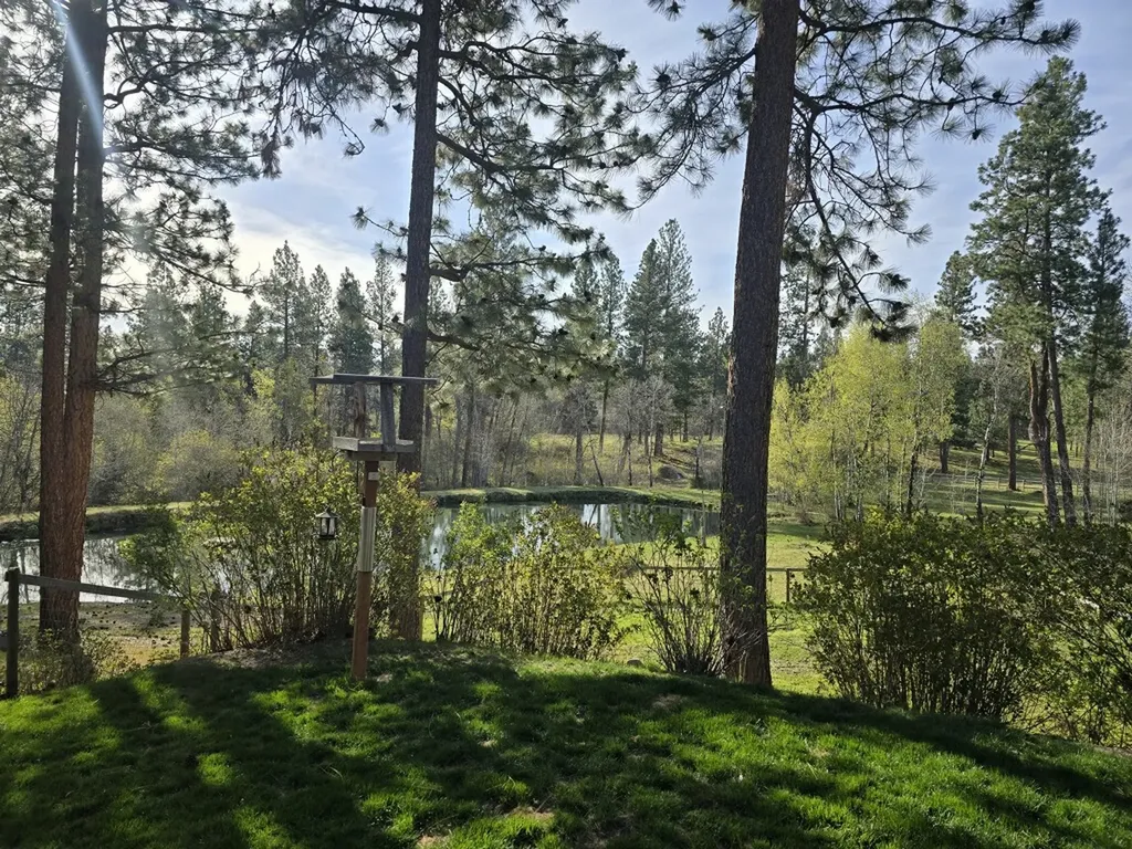 443 N Gold Creek Loop Hamilton MT 59840