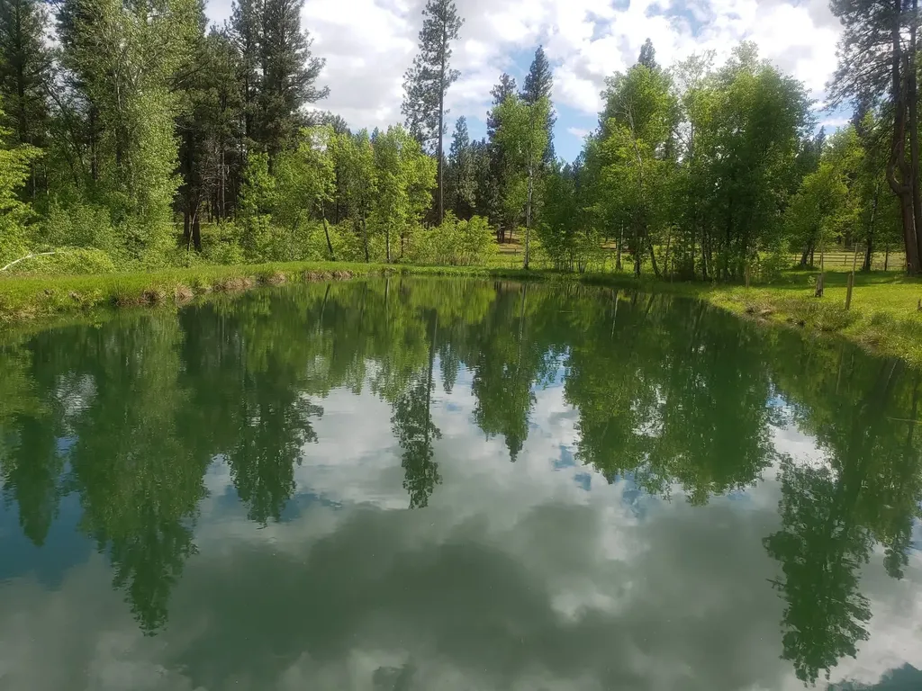 443 N Gold Creek Loop Hamilton MT 59840