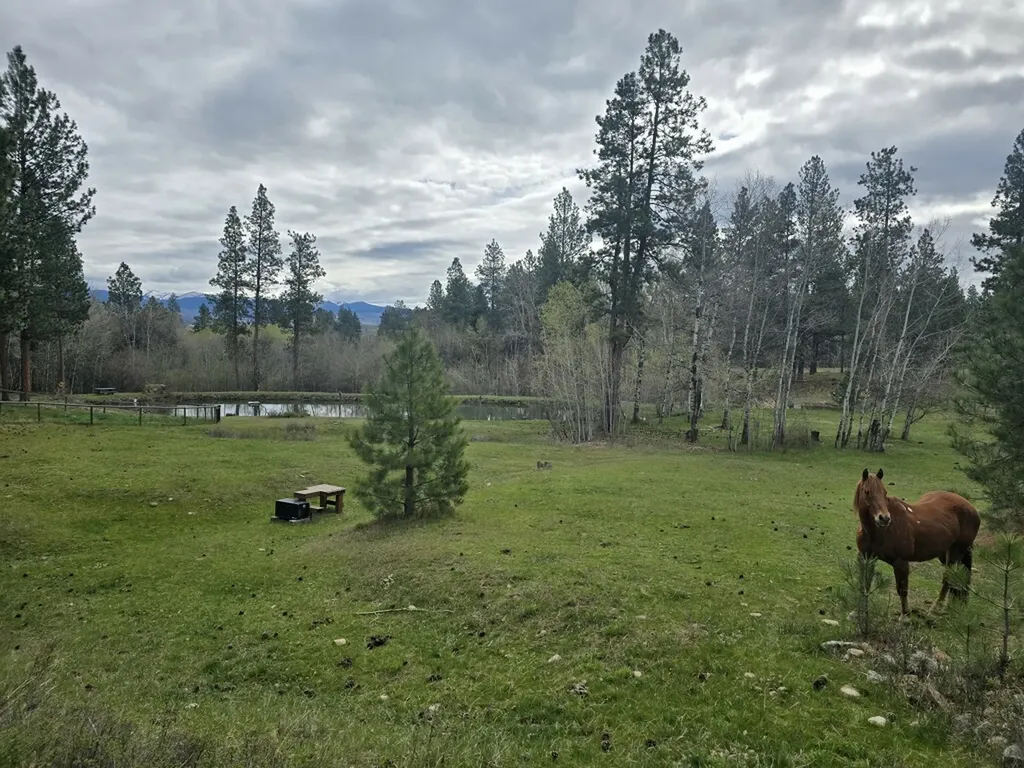 443 N Gold Creek Loop Hamilton MT 59840
