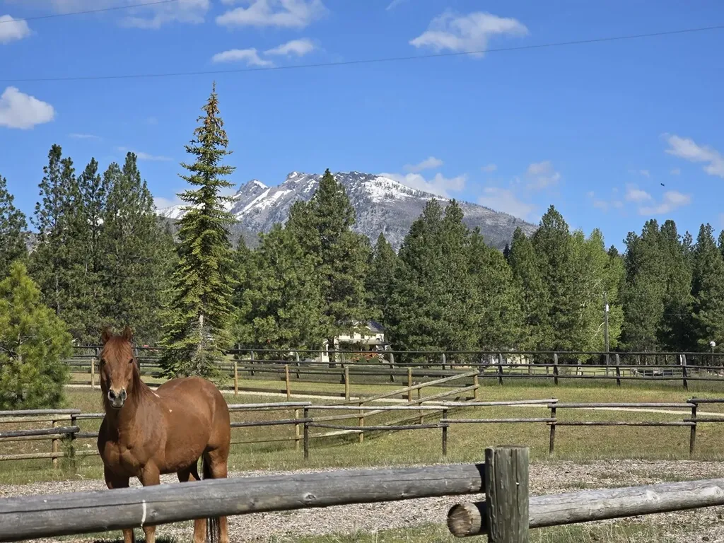 443 N Gold Creek Loop Hamilton MT 59840