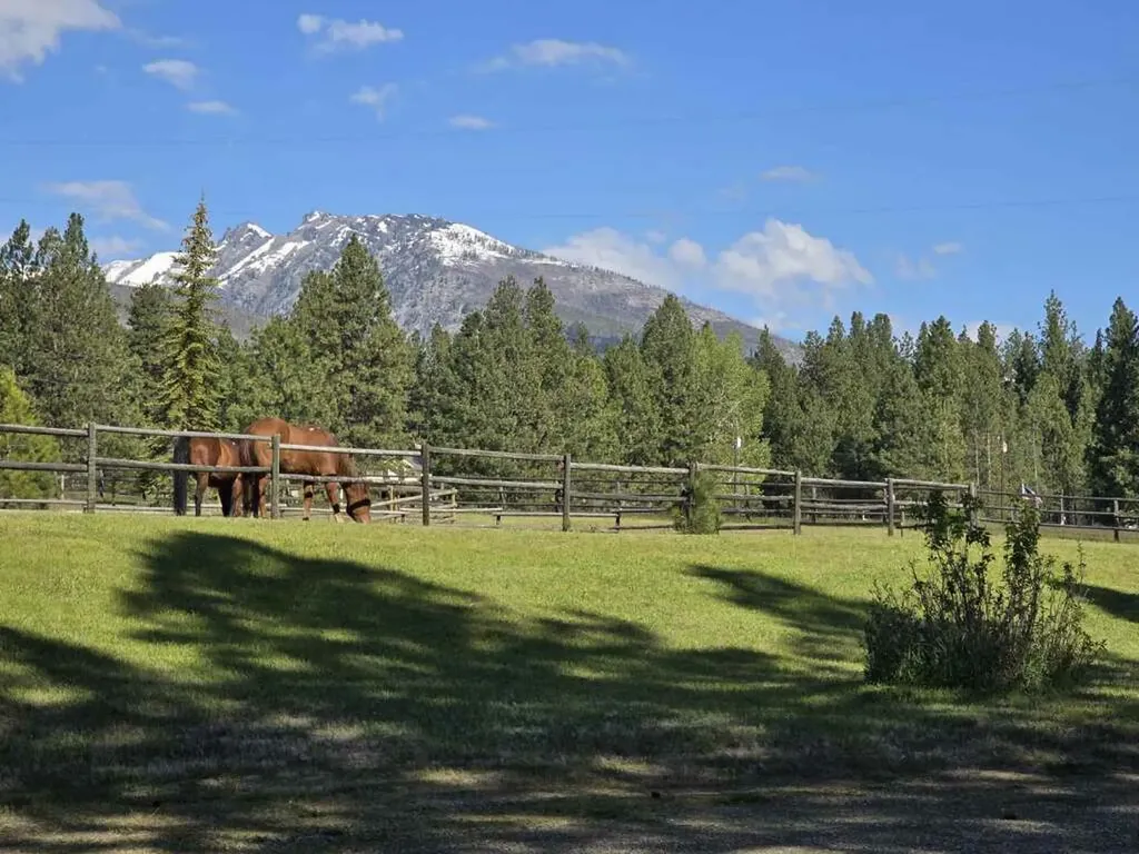 443 N Gold Creek Loop Hamilton MT 59840