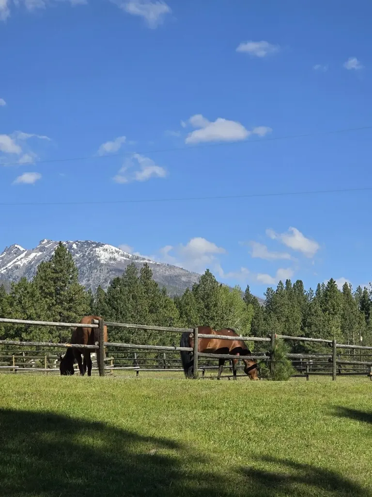 443 N Gold Creek Loop Hamilton MT 59840