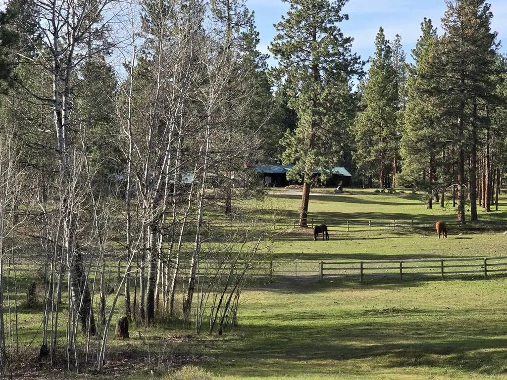 443 N Gold Creek Loop Hamilton MT 59840