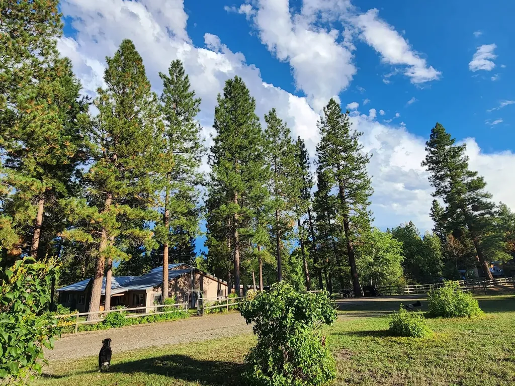 443 N Gold Creek Loop Hamilton MT 59840